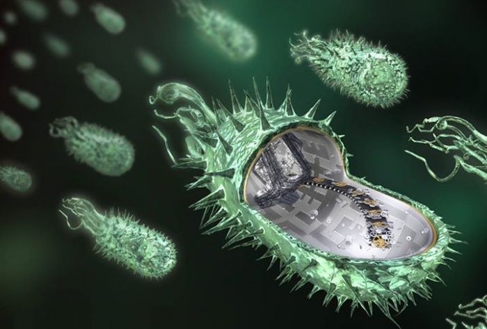 মমজী [পর্ব ০]: মজাই মজাই জীব বিজ্ঞাণের শুরু :)