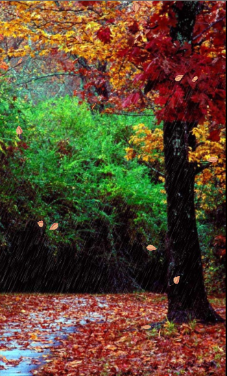 শ্রাবনের এই দিনে আপনাদের জন্য নিয়ে আসলাম Autumn Falling Leaves লাইভ ওয়ালপেপার