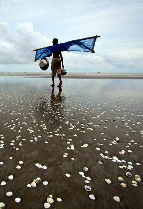 এবার মোবাইল ঝাকান আর উপোভোগ করুন বাংলাদেশের সৈন্দর্য Visit Bangladesh Live Wallpaper