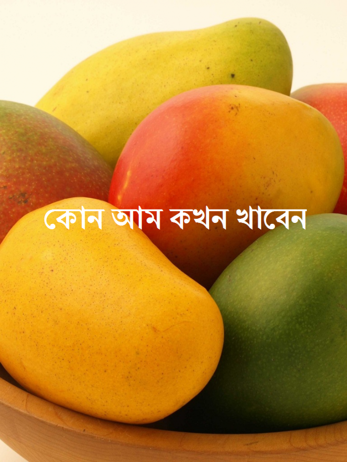 কোন আম কখন খাবেন – অ্যান্ড্রয়েড অ্যাপ