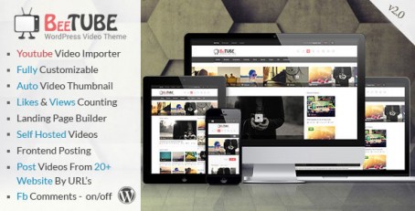 চমৎকার কয়েকটি প্রিমিয়াম wordpress থিম ।