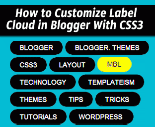 আপনার ব্লগের লেভেলকে দিন CSS3 এফেক্ট