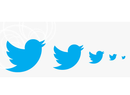 টুইটারে  ২.৫০ কোটি অব্যবহৃত অ্যাকাউন্ট!