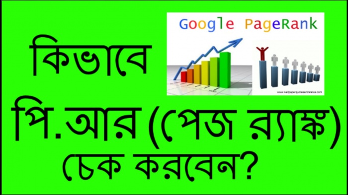 সার্চ ইঞ্জিন অপটিমাইজেশন [পর্ব ১২] :: কিভাবে পি.আর(পেজ র‍্যাঙ্ক) চেক করবেন?
