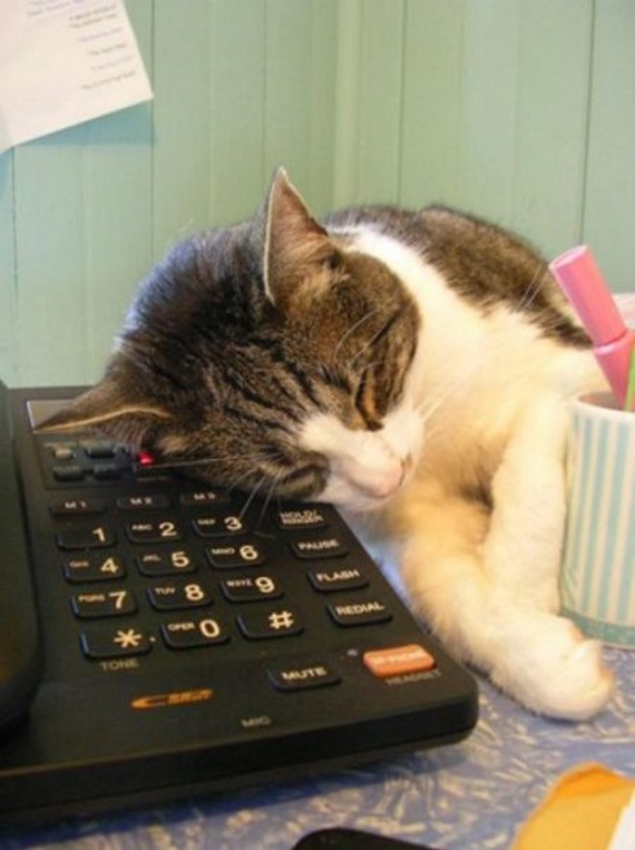 have-you-ever-been-this-tired10