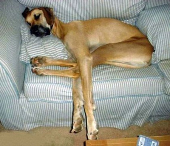have-you-ever-been-this-tired22
