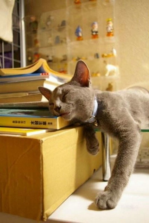 have-you-ever-been-this-tired27
