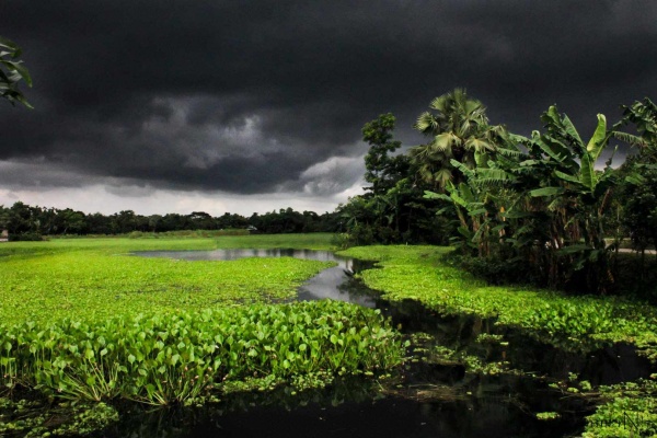 Blue screen error ও অন্যান্য কিছু সমস্যার ব্যাপারে সাহায্য চাইছি ।