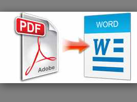নিয়ে নিন 25$ দামের অসাধারণ PDF to WORD Convertor