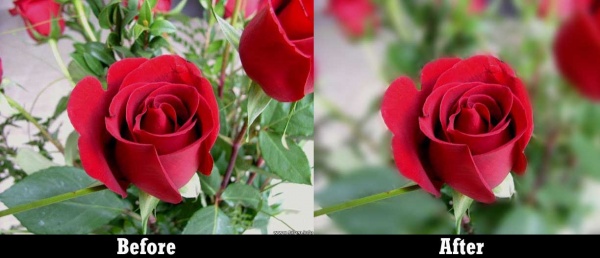 ফটোশপে ডি এইচ এল আর ইফেক্ট দিন যে কোন ছবিকে