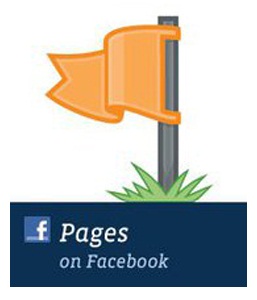 খুব সহজেই আপনার সব বন্ধুদের ইনভাইট করুন আপনার ফেসবুক পেজে!