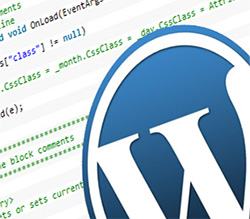 যেভাবে ওয়ার্ডপ্রেস সাইটের টিউনের ভিতরে “এড” দেখাবেন
