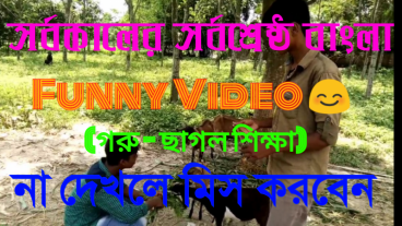 [Funny tune] একটি অসাধারণ ফানি ভিডিও || গরু – ছাগল শিক্ষা || আপনি না দেখলে বিশ্বাস করতে পারবেনা !!!