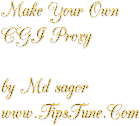 এখন থেকে নিজেই ধাপে ধাপে তৈরি করুন CGI Proxy ।