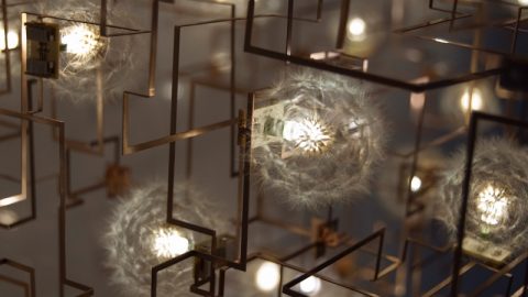 হামিদ চাচার ব্যবসায়িক লাভ, LED লাইটের জয়লাভ!