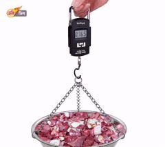 এই ঈদে কোরবানির মাংস বন্টন করুন সঠিক পরিমাপে!!!