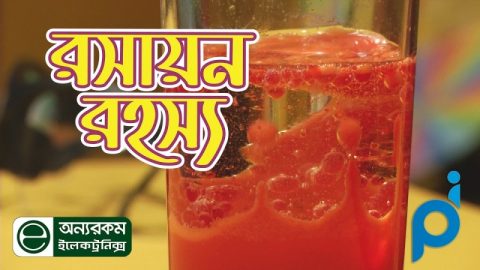 লাভা ল্যাম্পের অসাধারণ সৌন্দর্য মিস করাটা কি ঠিক হবে?