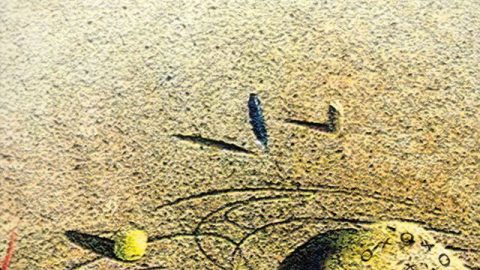 হুমায়ূন আহমেদ এর সায়েন্স ফিকশন!!!