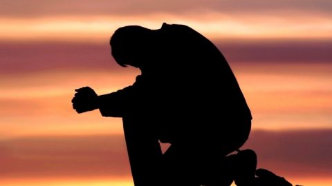 নিজের ভাল নাকি পাগলেও বোঝে, আপনার ভাল বুঝতে পড়ুন এই সেলফ ডেভলপমেন্ট বইগুলো