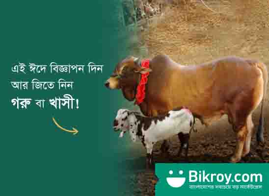 এই ঈদে গরু আর খাসী জিতুন অনলাইন এড পোস্ট করে!!
