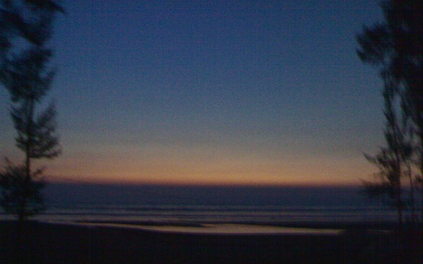 ফান with গুগল ফান with google