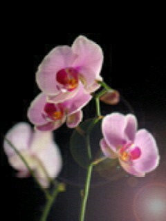 এবার দাদার ওপর দাদাগিরি!এবার যেকোন নামে windows এ folder তৈরি করুন।