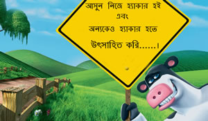 যেসব পদ্বতিতে মেইল, ফেইসবুক হ্যাকিং করতে যাবেন না!! হ্যাকিং সতর্কতা!!- প্রাথমিক পর্যায়