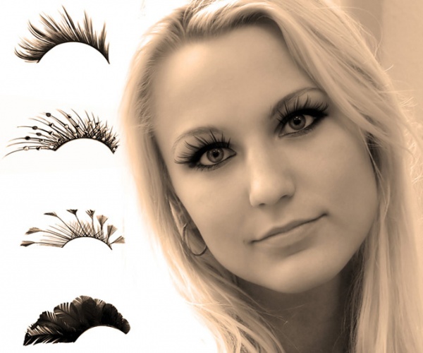 ৫ টি খুব সুন্দর ফটোশপ ব্রাশ নিয়ে নিন যাদের দরকার