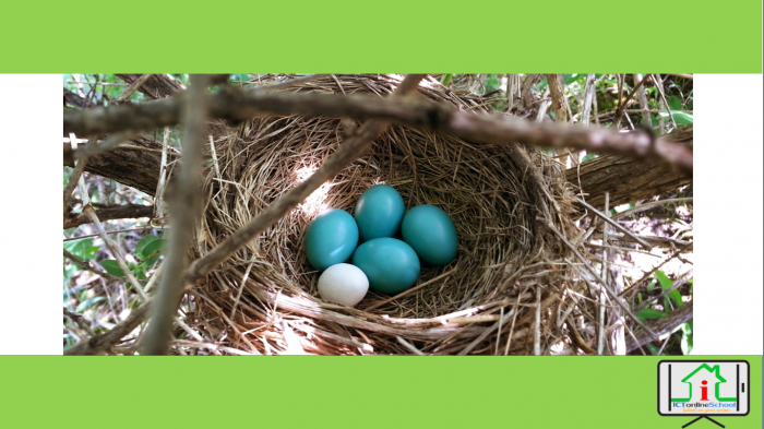 HTML 5 : ওয়েব পেইজ এর লেখাগুলোকে সুবিন্যস্ত করতে হলে- (লিস্ট নিয়ে বিস্তারিত টিউন)