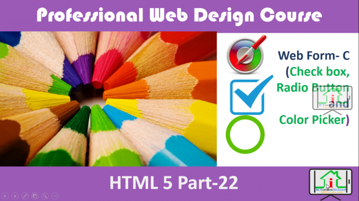 ওয়েব পেইজে ইউজার রেজিস্ট্রেশন ফর্ম তৈরির প্রস্তুতি (পর্ব-৩)  | রেডিও বাটন vs চেক বক্স  ও কালার পিকার)