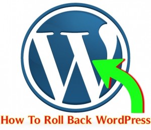 সি এম এস (CMS) রিভিউ :: ওয়ার্ডপ্রেস