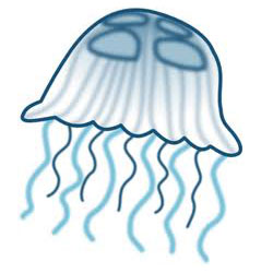 বিশালাকার জেলিফিশ সাগরতল পর্যবেক্ষণ করবে!