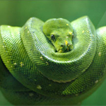 মুছে ফেলুন যত্ত সব জাল এন্টিভাইরাস, স্পাইওয়্যার