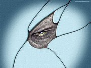 Adsense বিষয়ে সাহায্য চাই