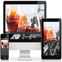 গরম গরম শিখে নিন রেসপন্সিব ডিজাইন[পর্ব-০৩] :: মেটা ট্যাগ ও মিডিয়া কুয়েরীর ব্যবহার