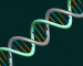 dna_rgb