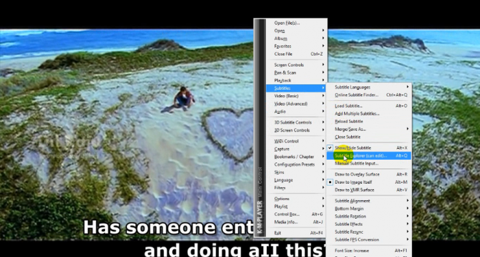 Subtitle edit option