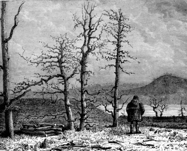 দারুন মিলে গেছে এই বছরের  ক্যালেন্ডারে।কে বলেছে চলে যাওয়া দিন ফিরে আসে না!