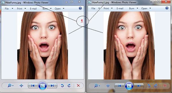 কিভাবে ব্যবহার করবেন FastStone Photo Resizer? [স্ক্রিনশট টিউটোরিয়াল]-3