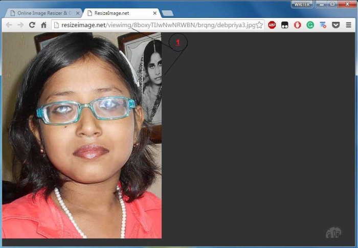 Tool #3: http://resizeimage.net-4