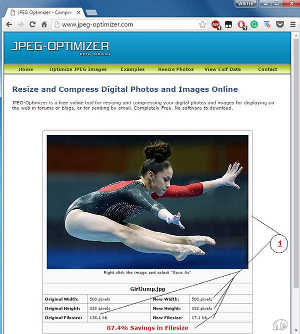Tool #7: http://www.jpeg-optimizer.com-2