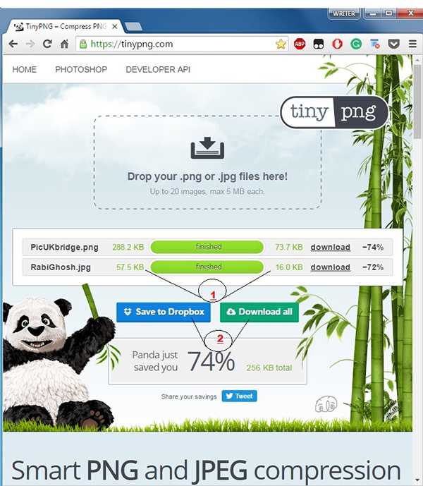 Tool #9: http://www.tinypng.com-3