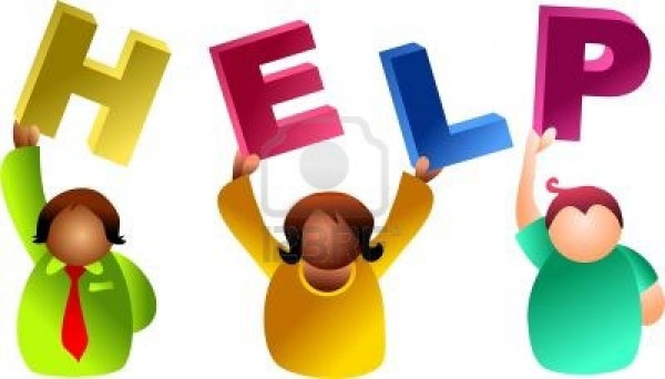 অভিজ্ঞ ভাইদের কাছে পরামর্শ চাচ্ছি