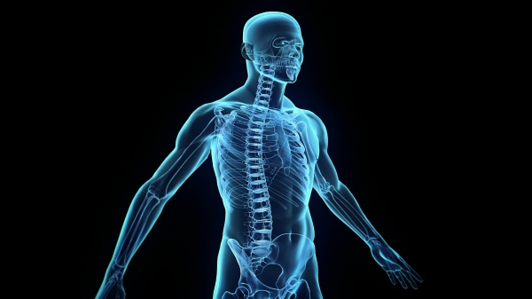 গুগল মামা এবার ক্যান্সার ও হার্ট অ্যাটাক শনাক্তের প্রযুক্তি বানাচ্ছে!!!!!