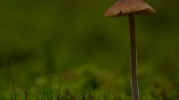 অভিনব সব ওয়ালপেপার স্ক্রীণসেভার আর ডেস্কটপ উইগেট তৈরি করুন ফটোজয় দিয়ে