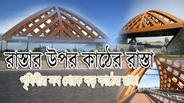 পৃথিবীর বিজ্ঞানি আর এক ধাপ এগিয়ে গেল কৃত্রিম কাঠ তৈরি করে তা দিয়ে ব্রিজ বানালো দেখুন