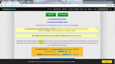 ক্যাপচার লিখে আয় করুন  bitcoin আর বাগিয়ে নিন টাকা।