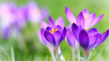 কিভাবে আপনার ওয়েব সাইটকে আরো মানসম্পন্ন করে তুলবেন ?